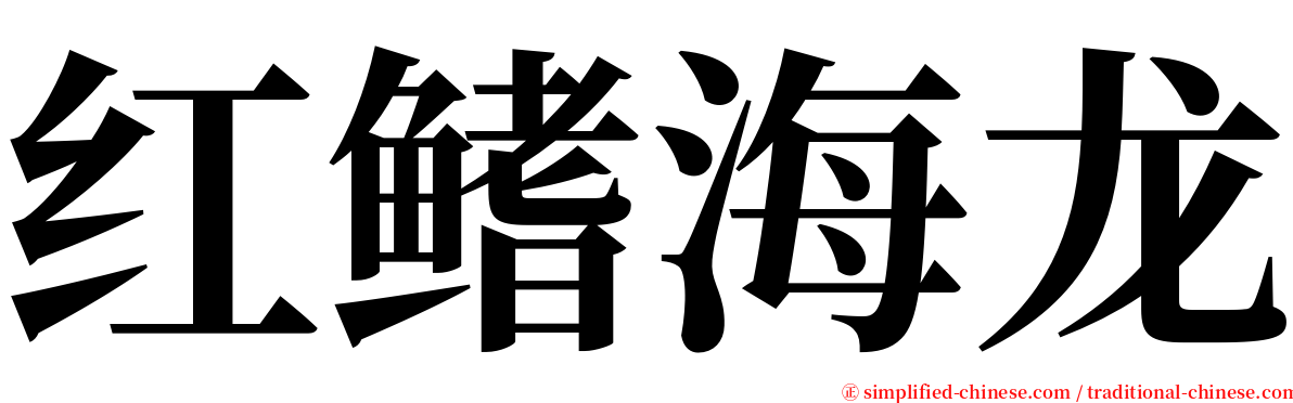 红鳍海龙 serif font