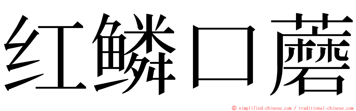 红鳞口蘑 ming font