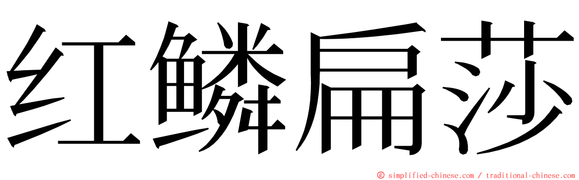 红鳞扁莎 ming font