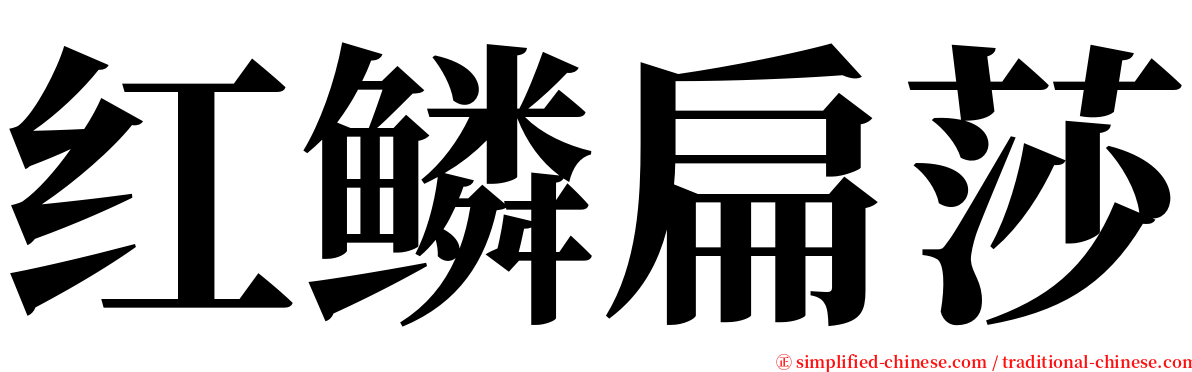 红鳞扁莎 serif font