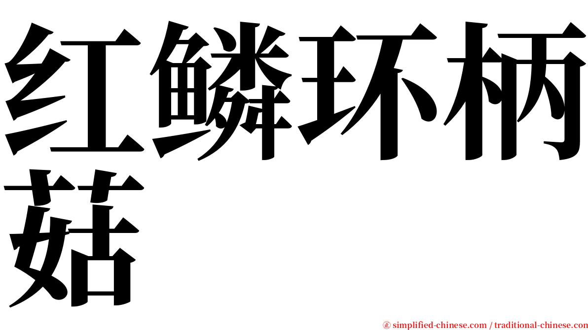 红鳞环柄菇 serif font