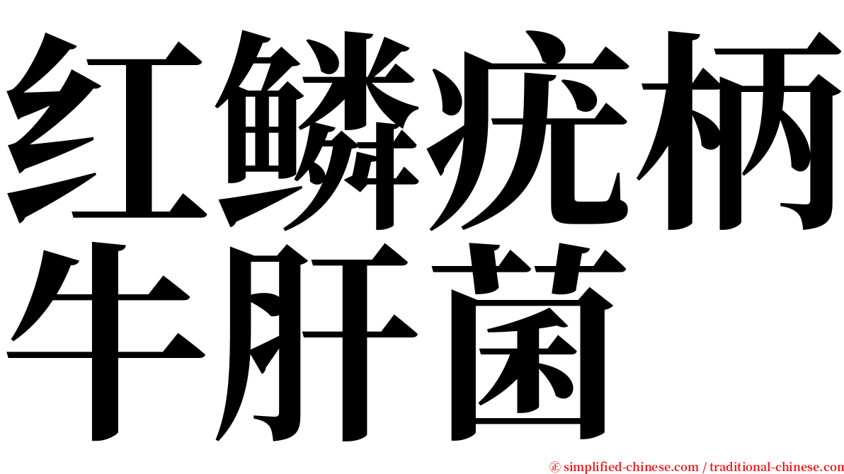 红鳞疣柄牛肝菌 serif font