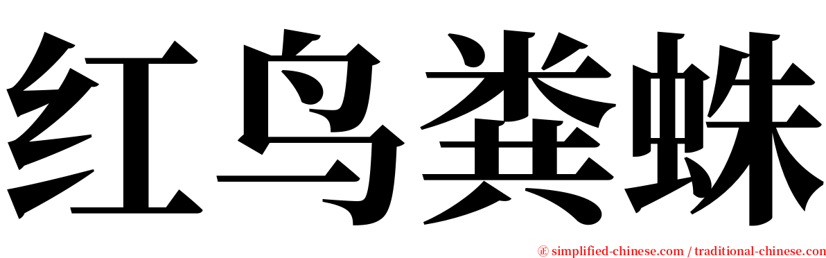 红鸟粪蛛 serif font