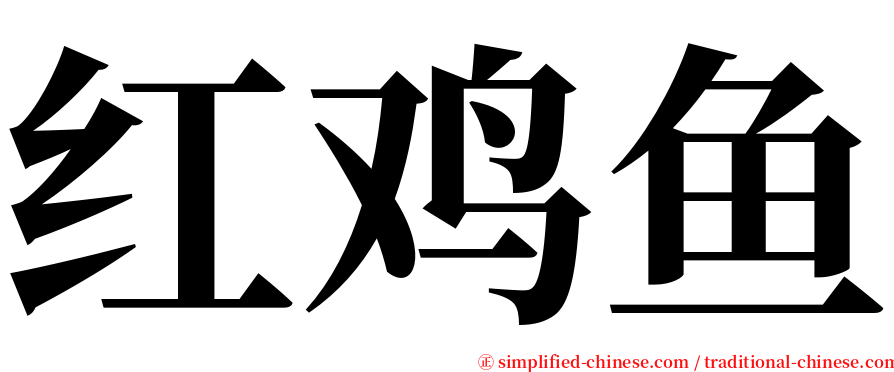 红鸡鱼 serif font