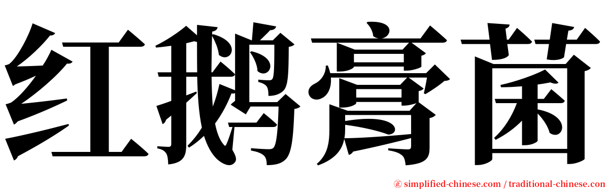 红鹅膏菌 serif font