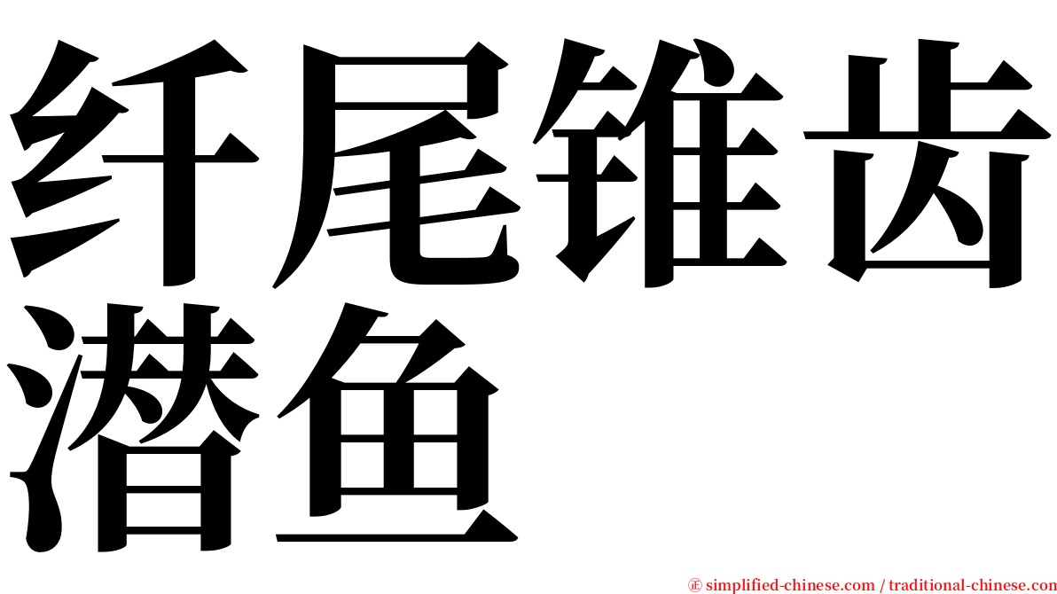 纤尾锥齿潜鱼 serif font