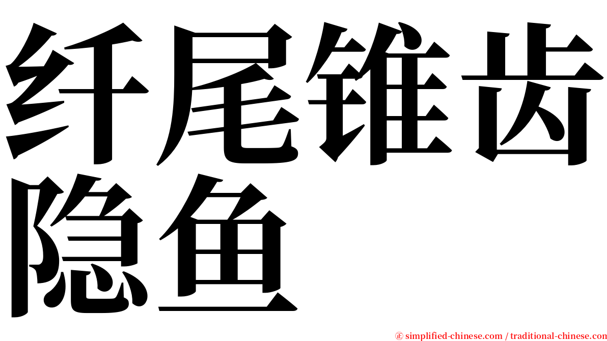 纤尾锥齿隐鱼 serif font