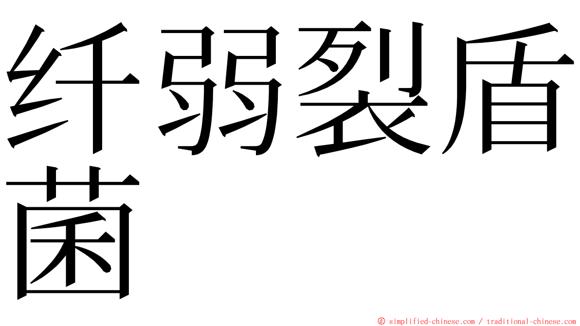 纤弱裂盾菌 ming font