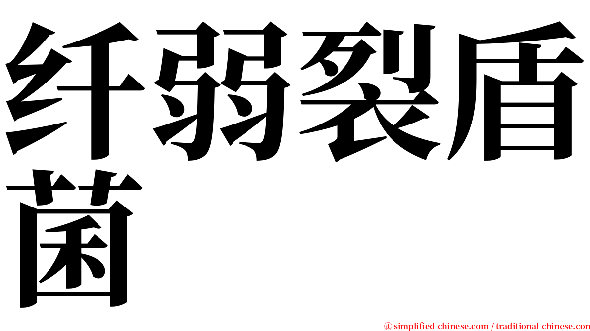 纤弱裂盾菌 serif font