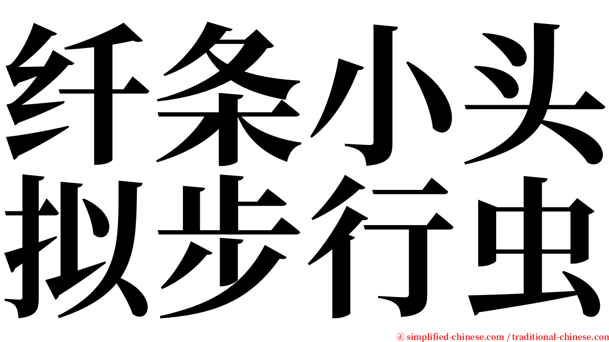 纤条小头拟步行虫 serif font