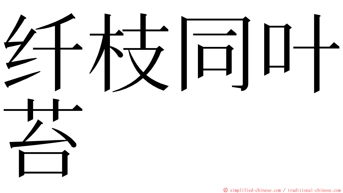 纤枝同叶苔 ming font