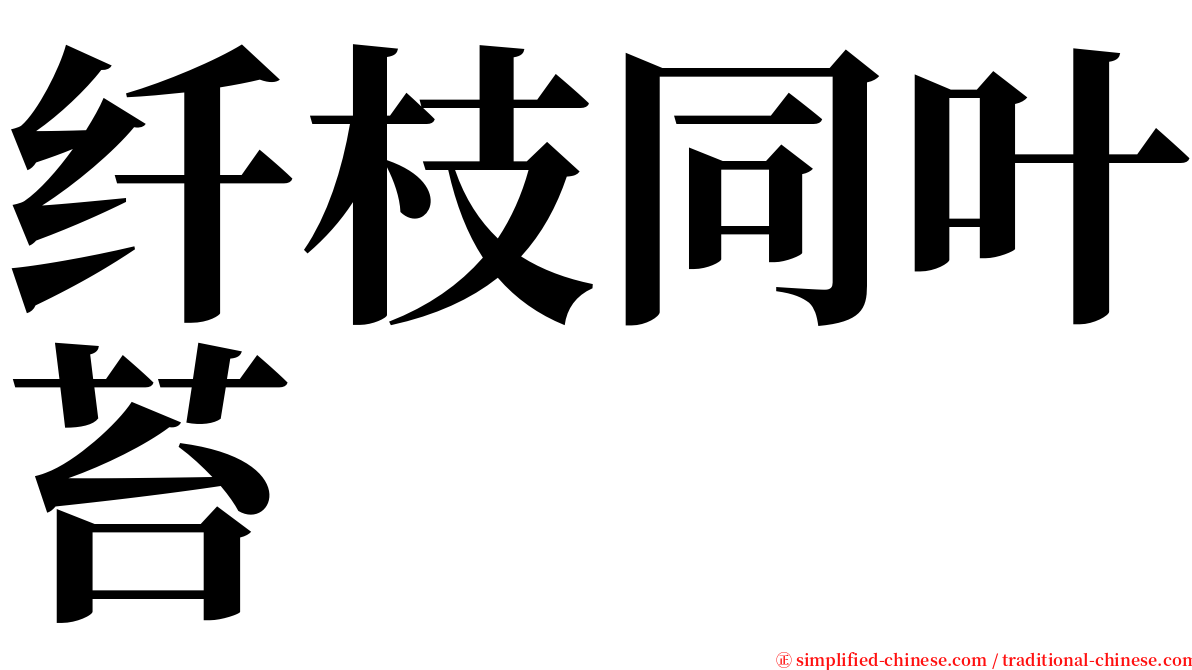 纤枝同叶苔 serif font