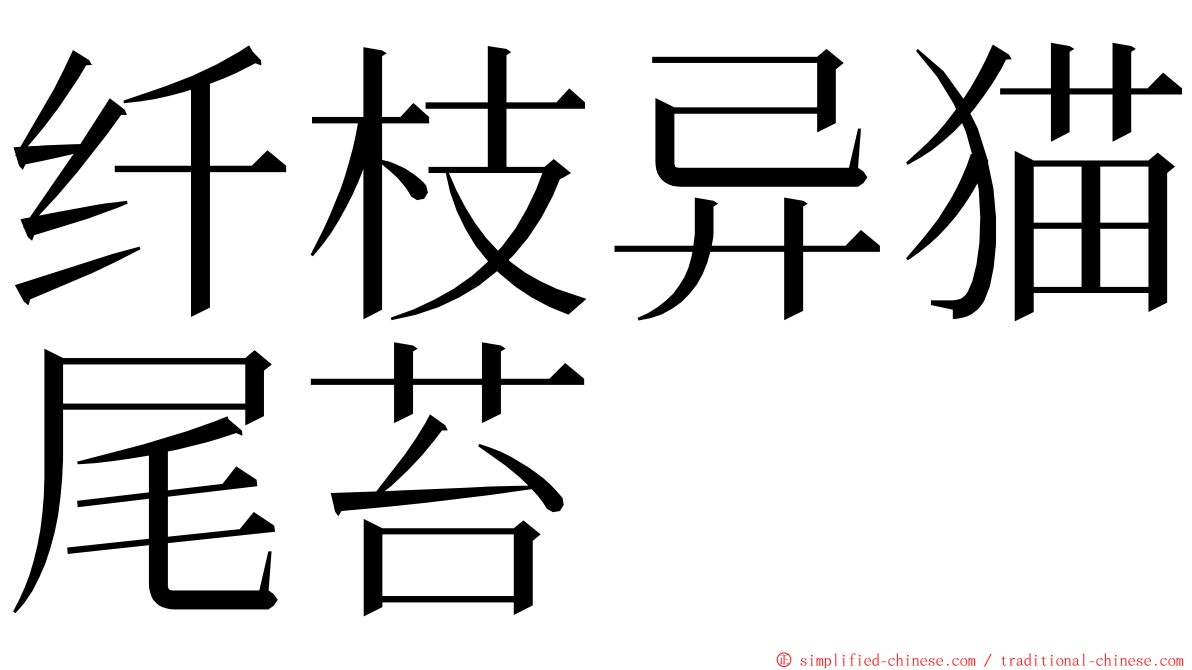 纤枝异猫尾苔 ming font