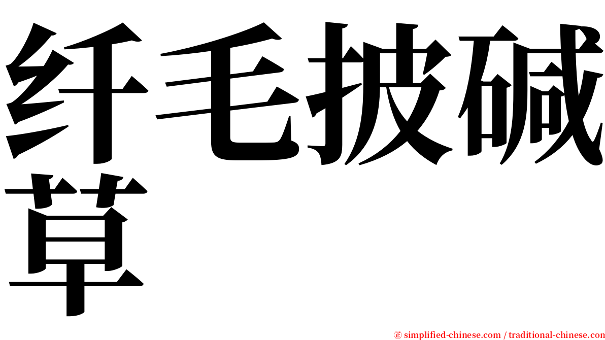 纤毛披碱草 serif font