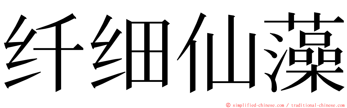 纤细仙藻 ming font