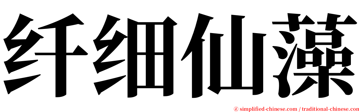 纤细仙藻 serif font