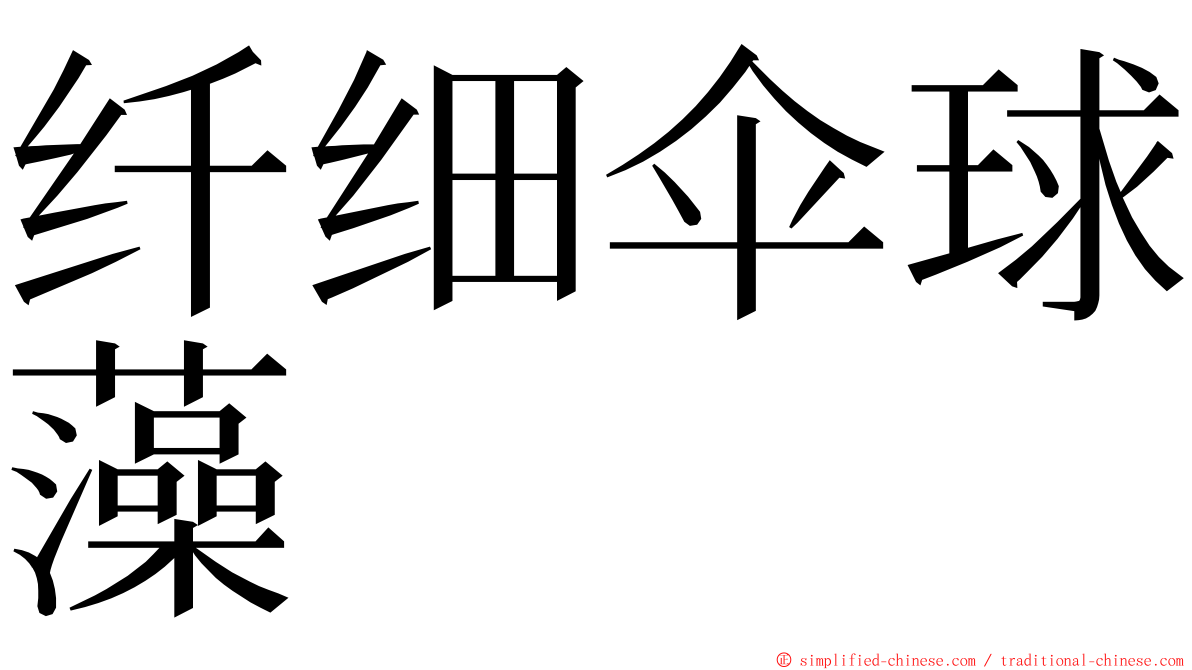 纤细伞球藻 ming font