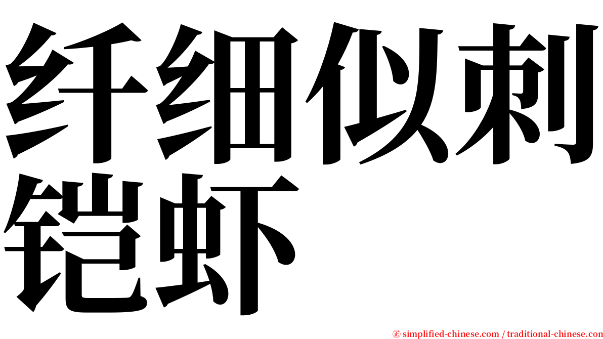 纤细似刺铠虾 serif font