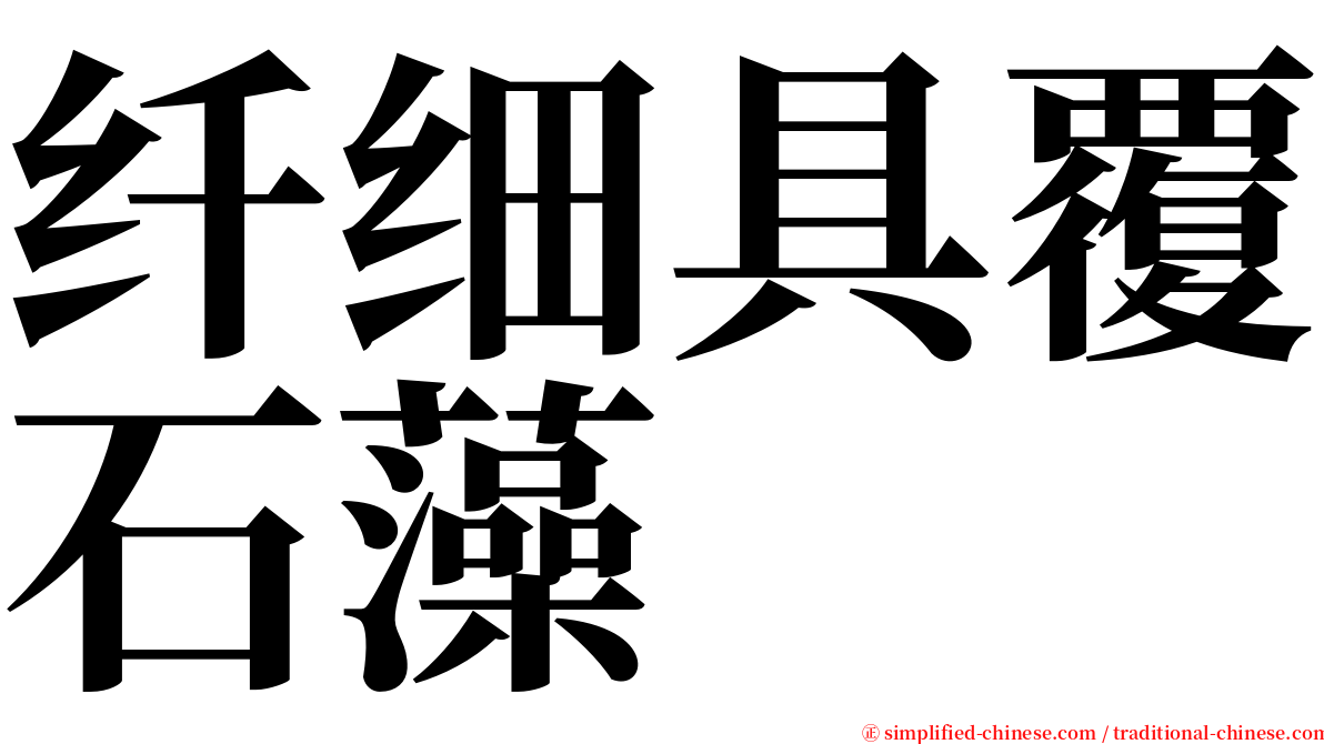 纤细具覆石藻 serif font