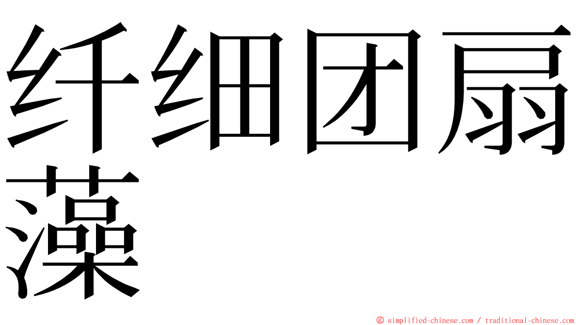 纤细团扇藻 ming font