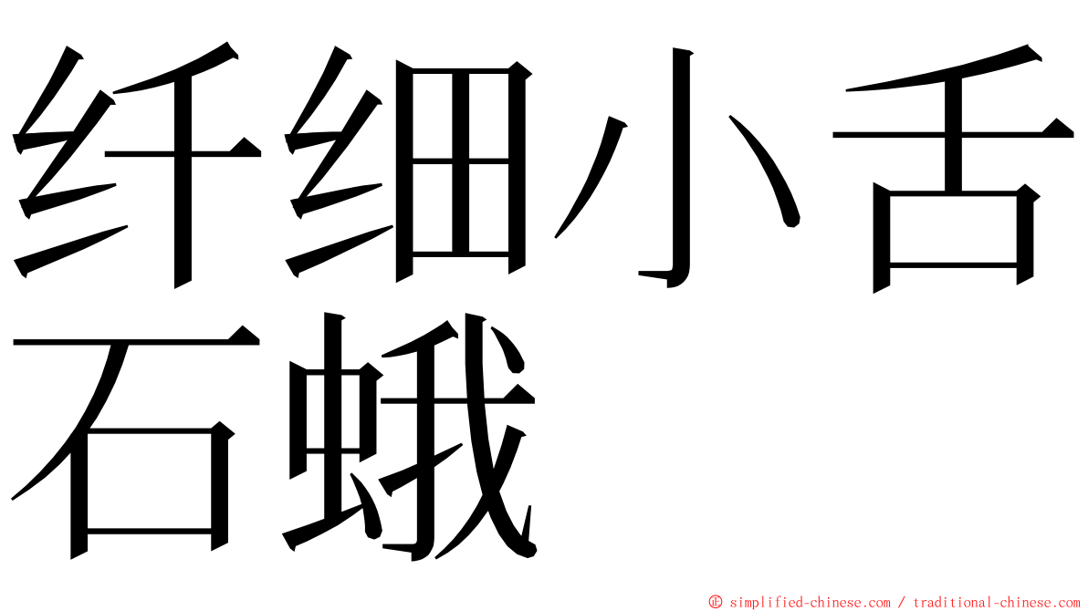 纤细小舌石蛾 ming font