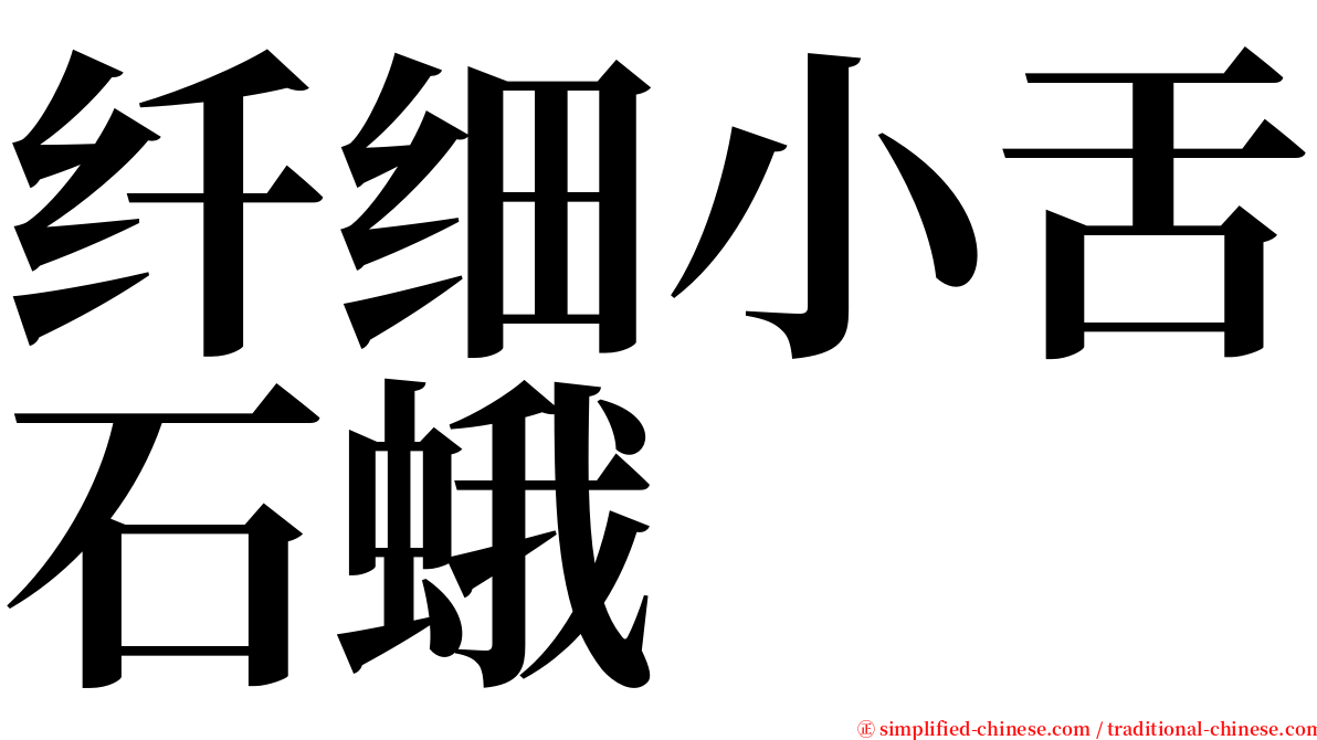 纤细小舌石蛾 serif font