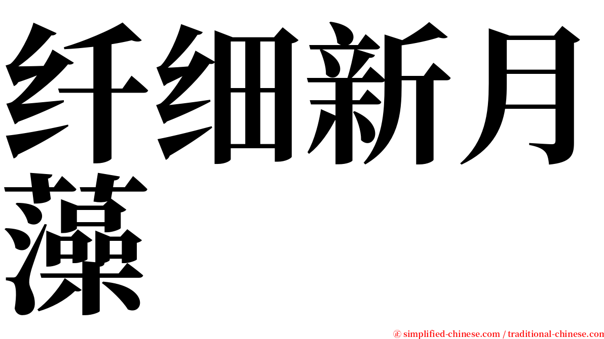 纤细新月藻 serif font