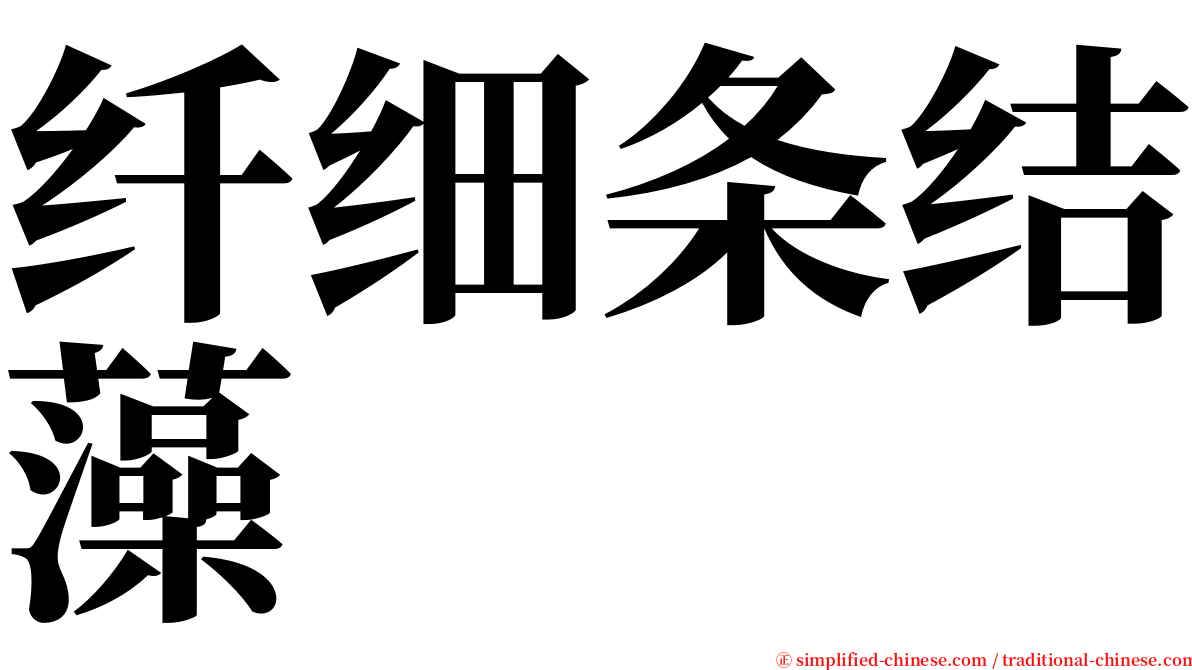 纤细条结藻 serif font