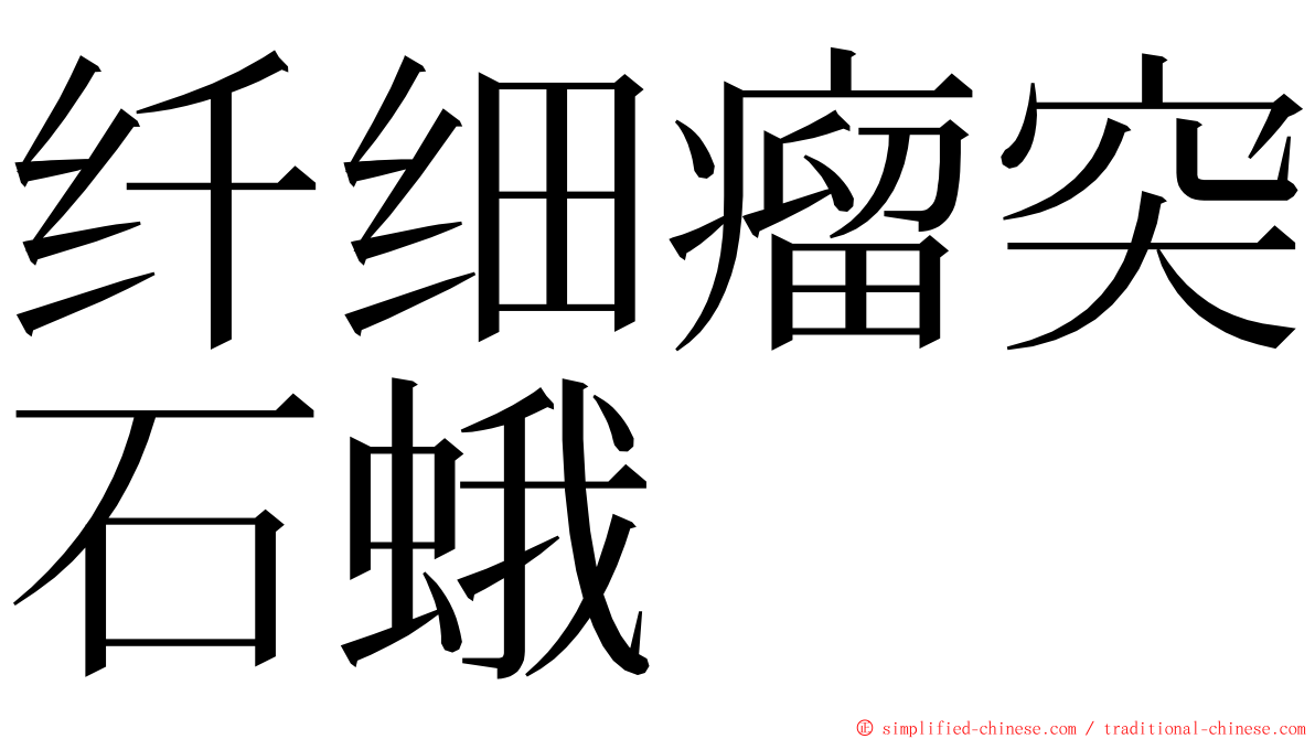 纤细瘤突石蛾 ming font