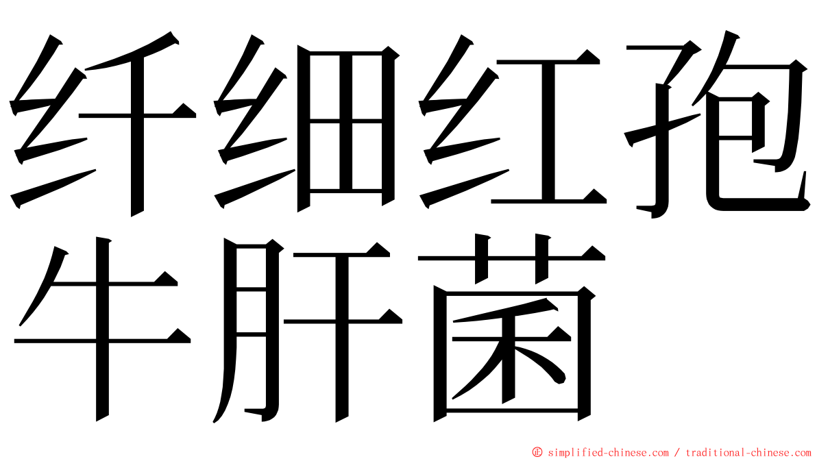 纤细红孢牛肝菌 ming font