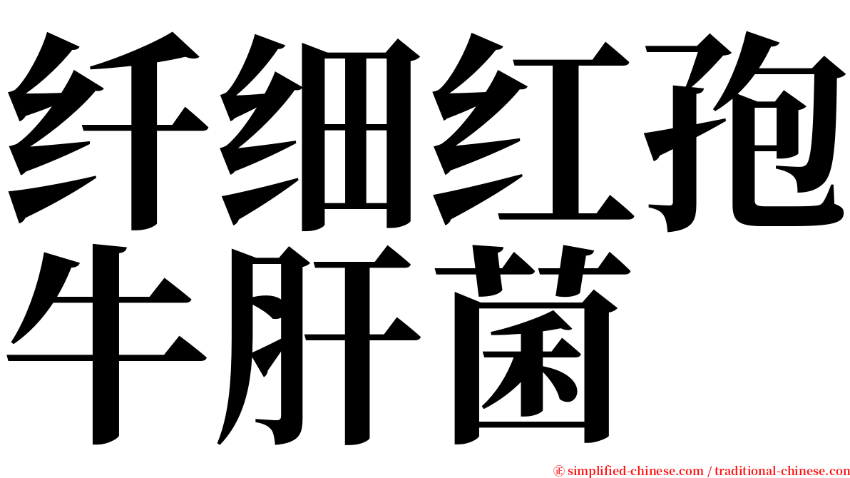 纤细红孢牛肝菌 serif font