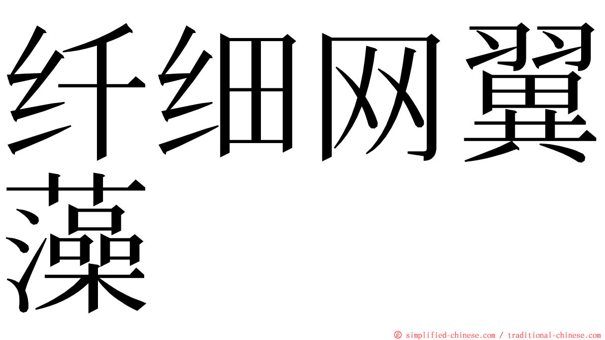 纤细网翼藻 ming font