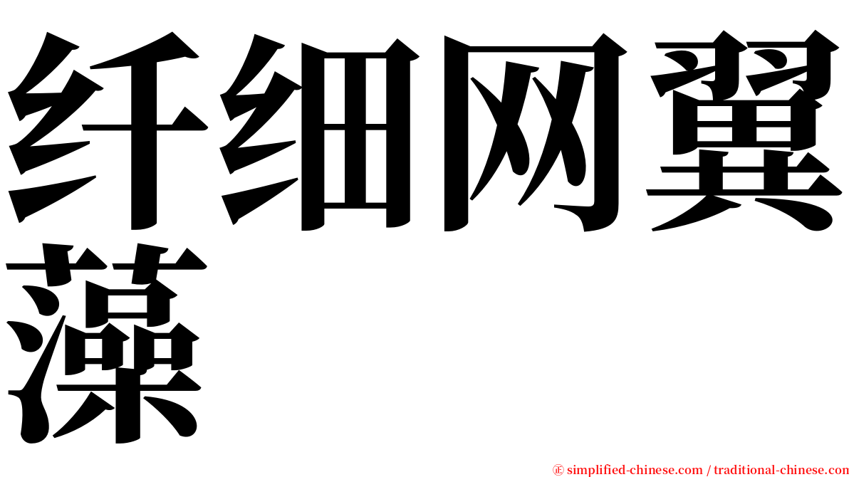 纤细网翼藻 serif font