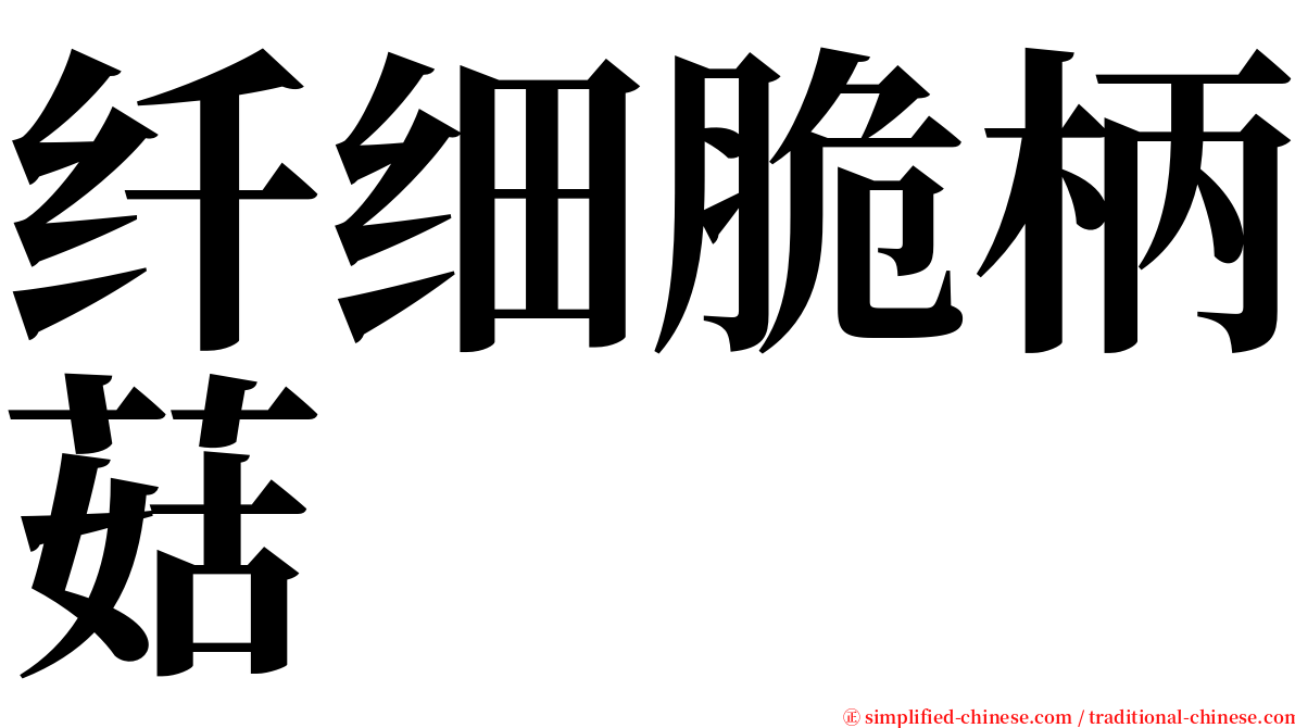 纤细脆柄菇 serif font