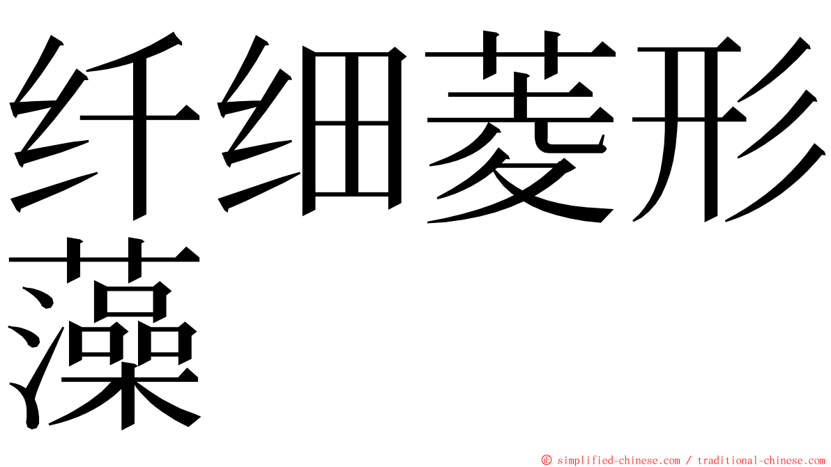 纤细菱形藻 ming font