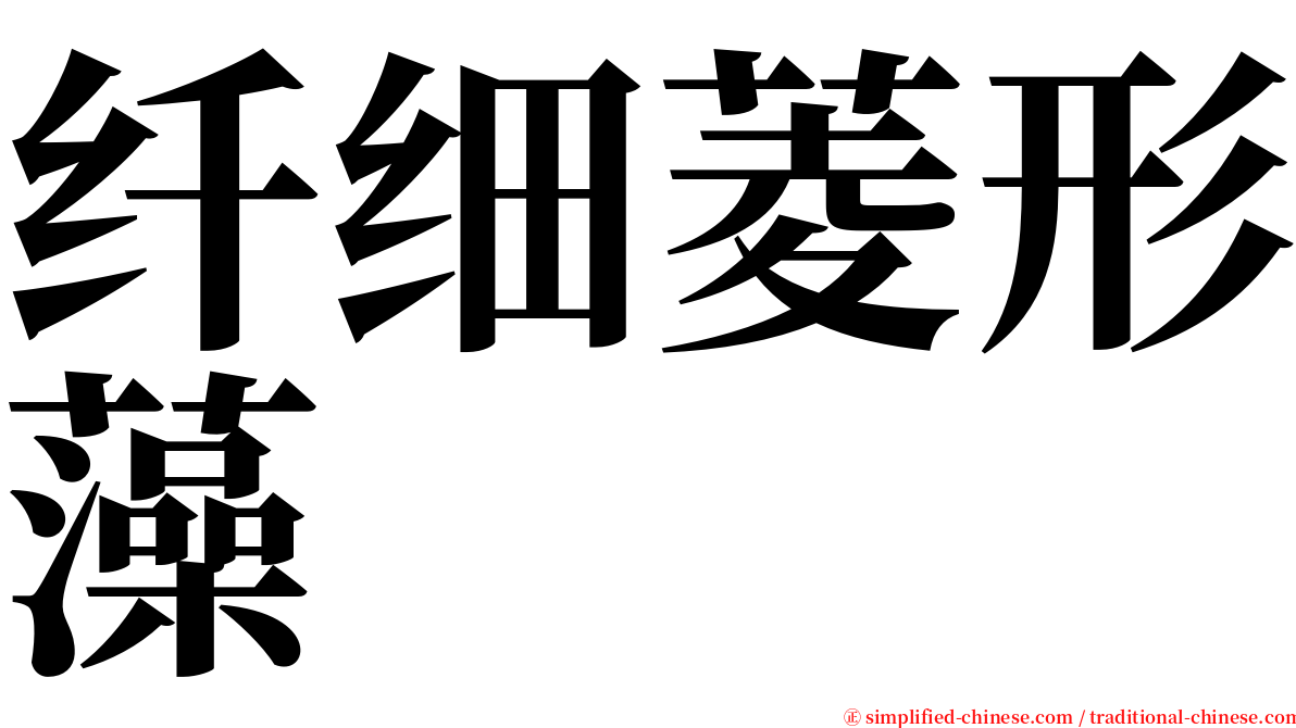 纤细菱形藻 serif font