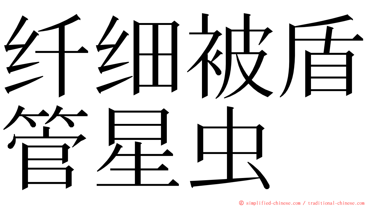 纤细被盾管星虫 ming font