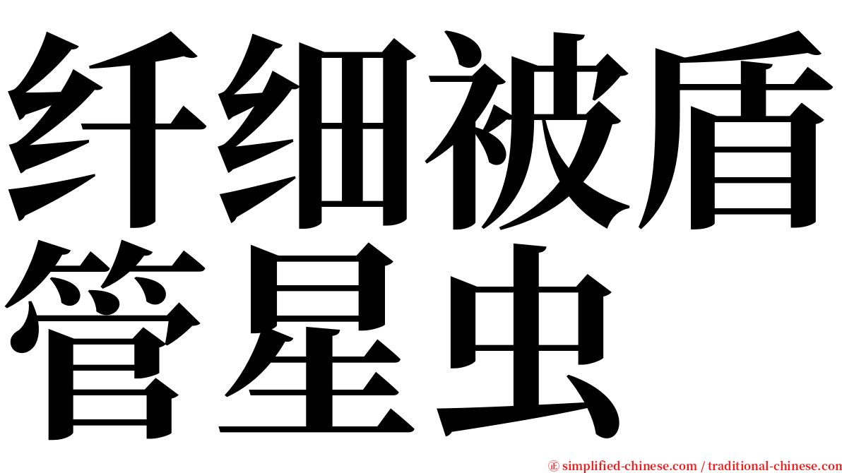 纤细被盾管星虫 serif font