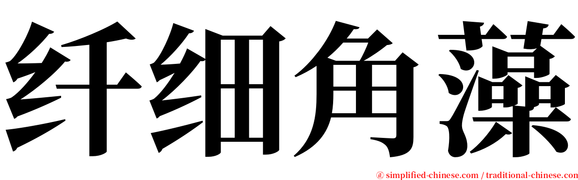 纤细角藻 serif font