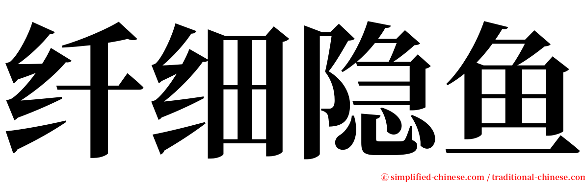 纤细隐鱼 serif font