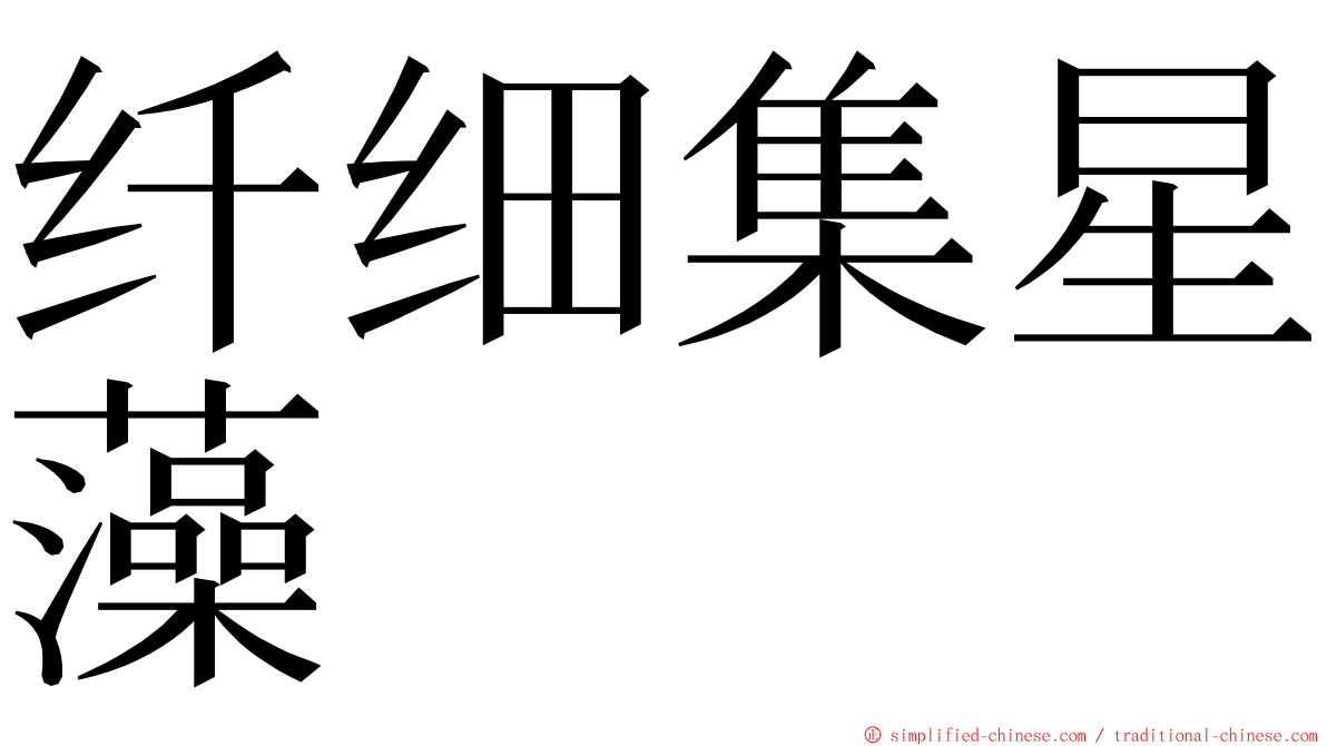 纤细集星藻 ming font