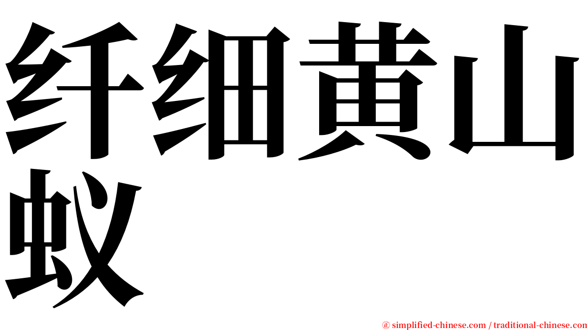 纤细黄山蚁 serif font