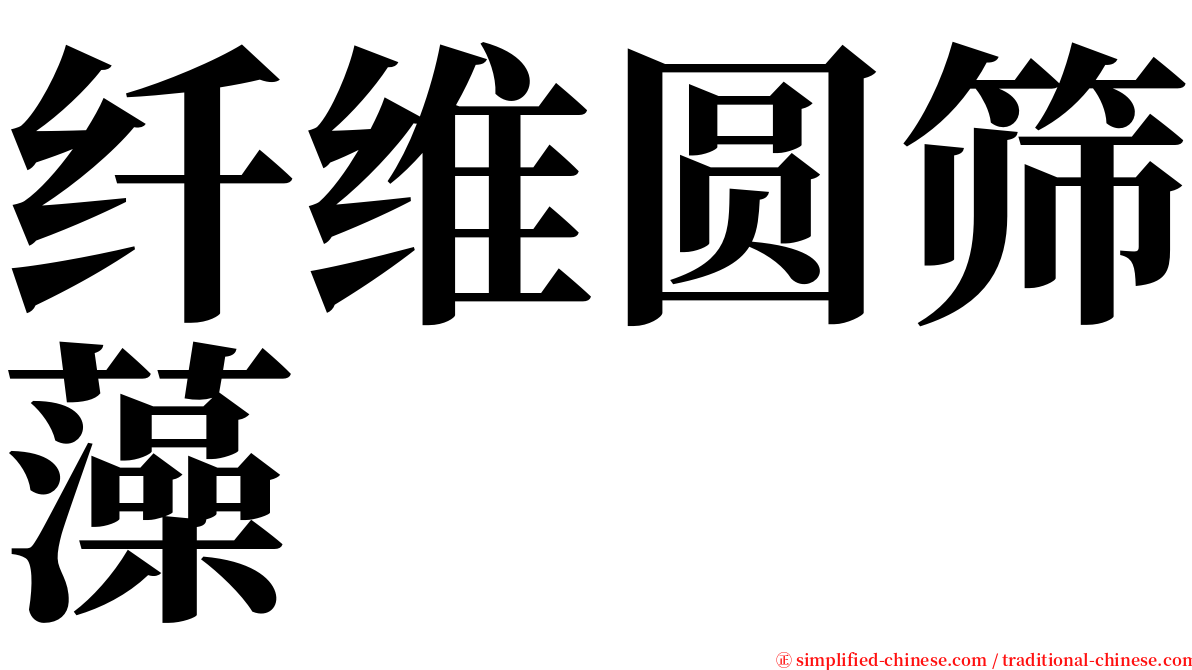 纤维圆筛藻 serif font