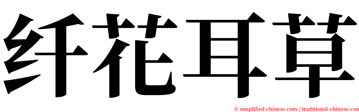 纤花耳草 serif font