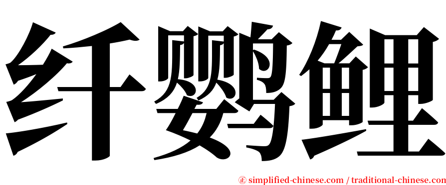 纤鹦鲤 serif font