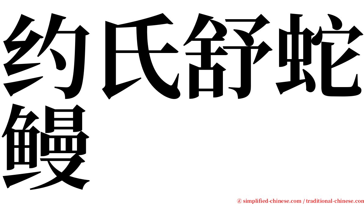 约氏舒蛇鳗 serif font