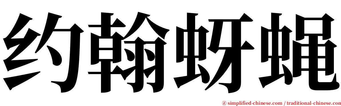 约翰蚜蝇 serif font