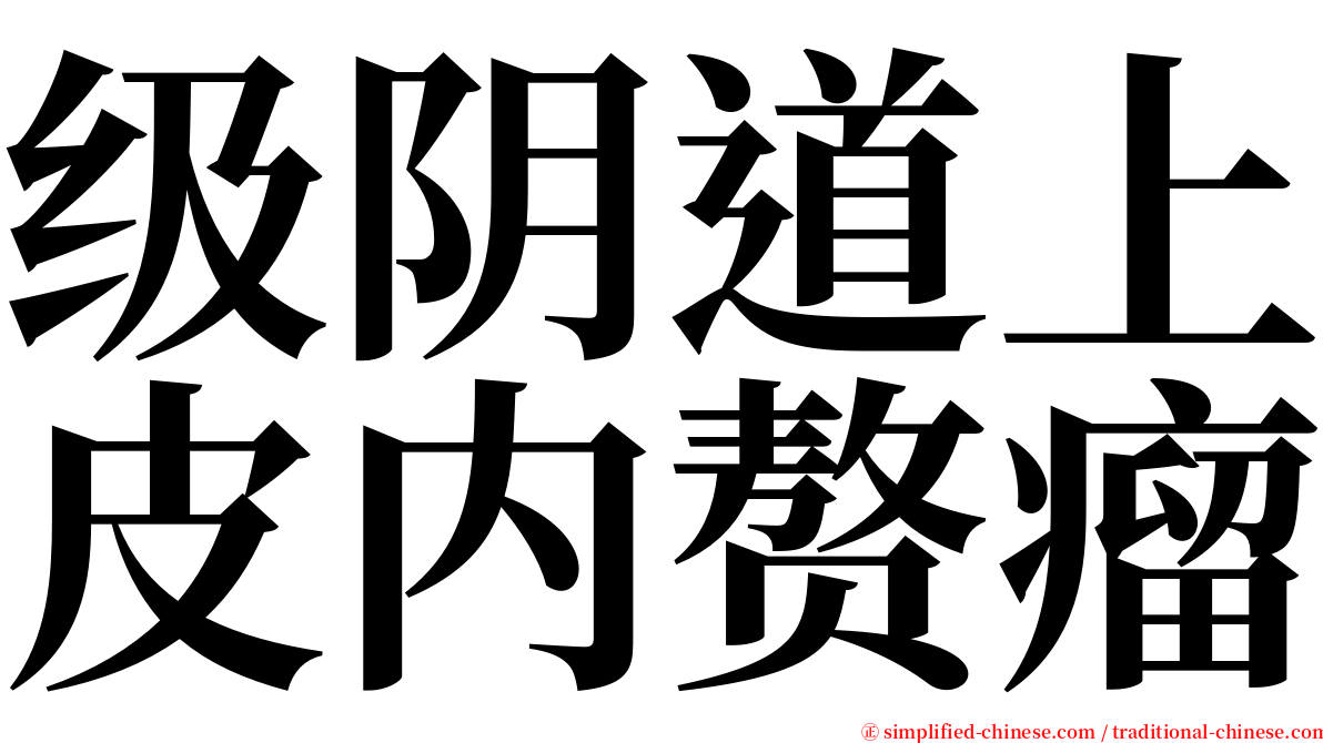 级阴道上皮内赘瘤 serif font