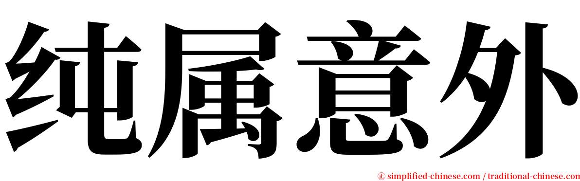 纯属意外 serif font