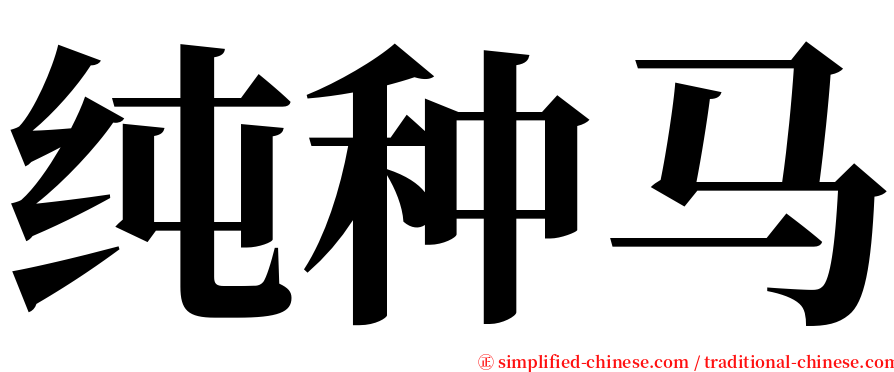 纯种马 serif font